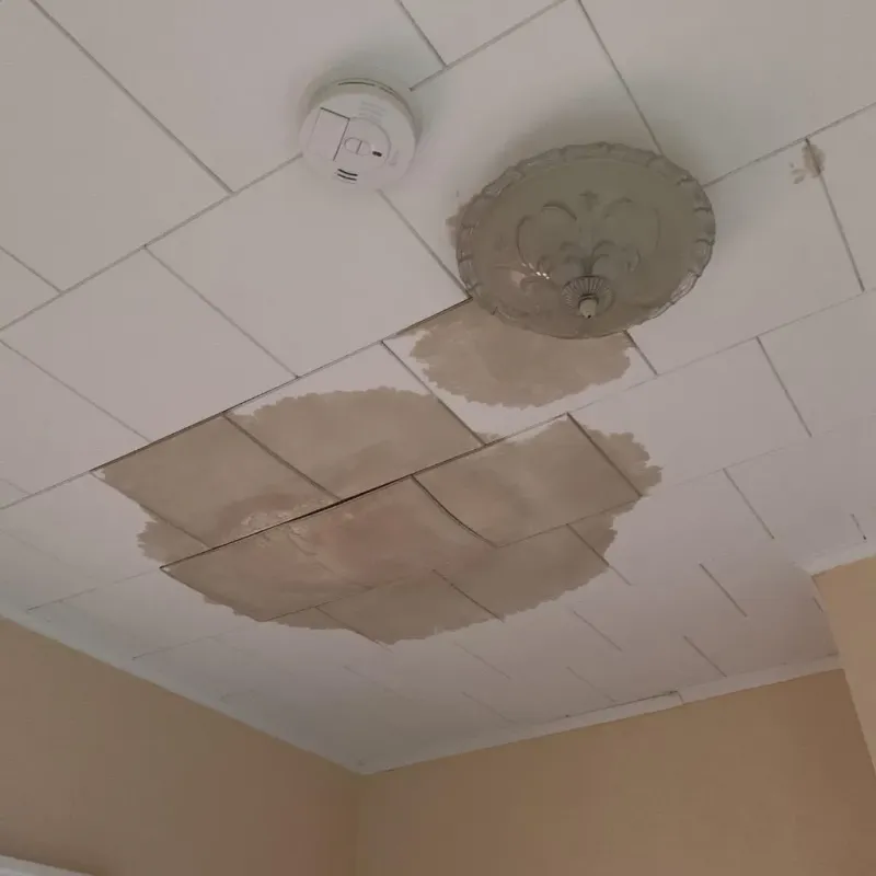 Ceiling Water Damage Repair in Devils Lake, ND