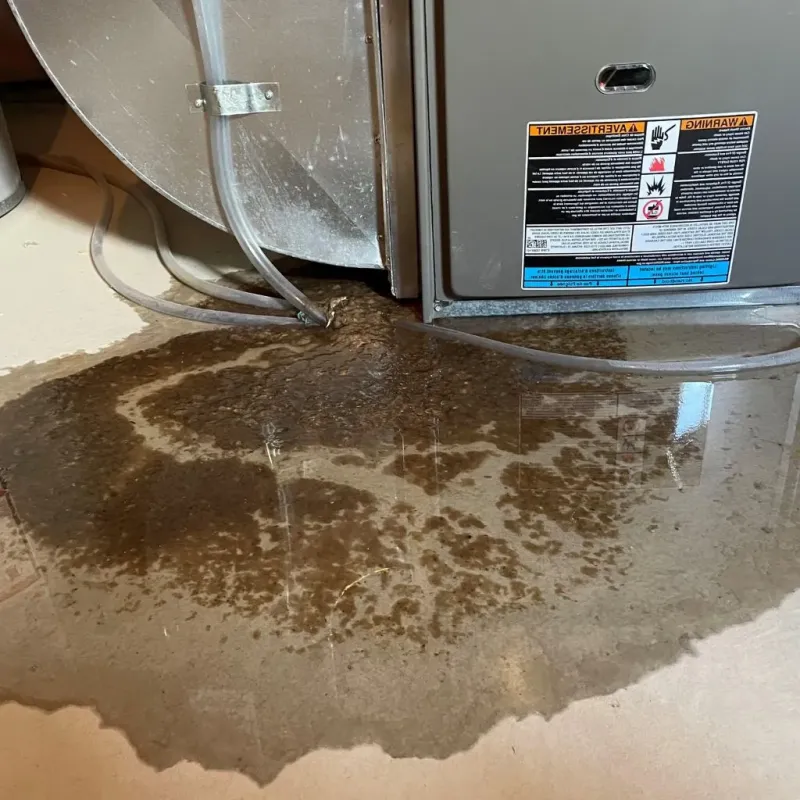 Pipe Burst and Leak Restoration in Devils Lake, ND