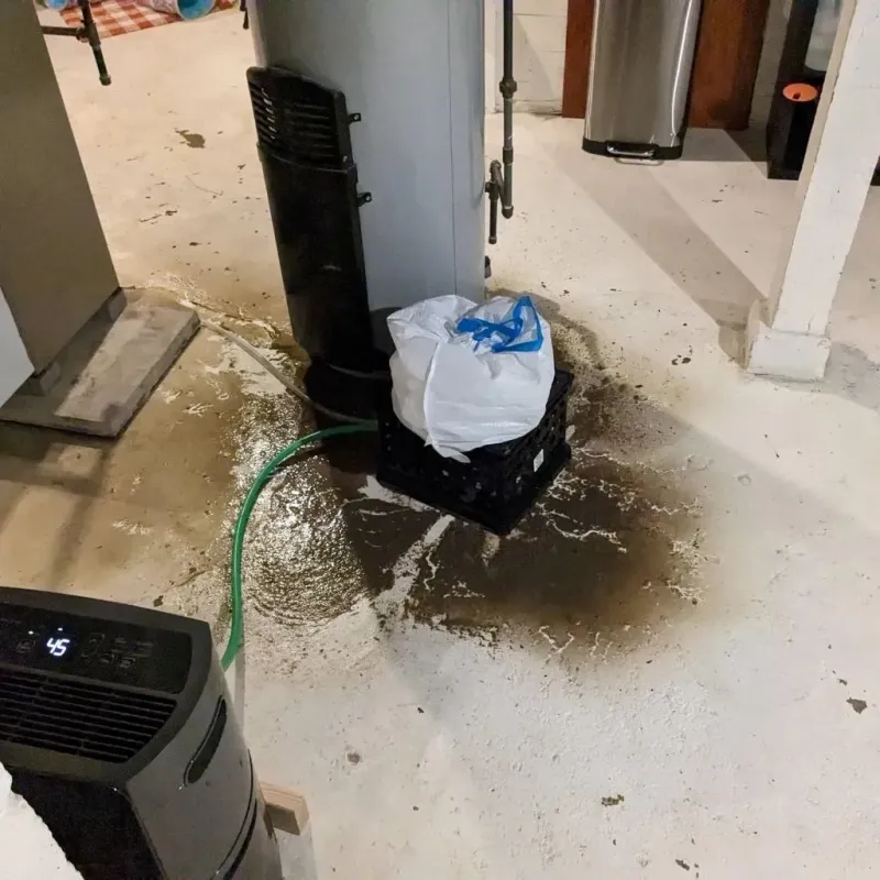 Sewage Backup Cleanup Service in Devils Lake, ND